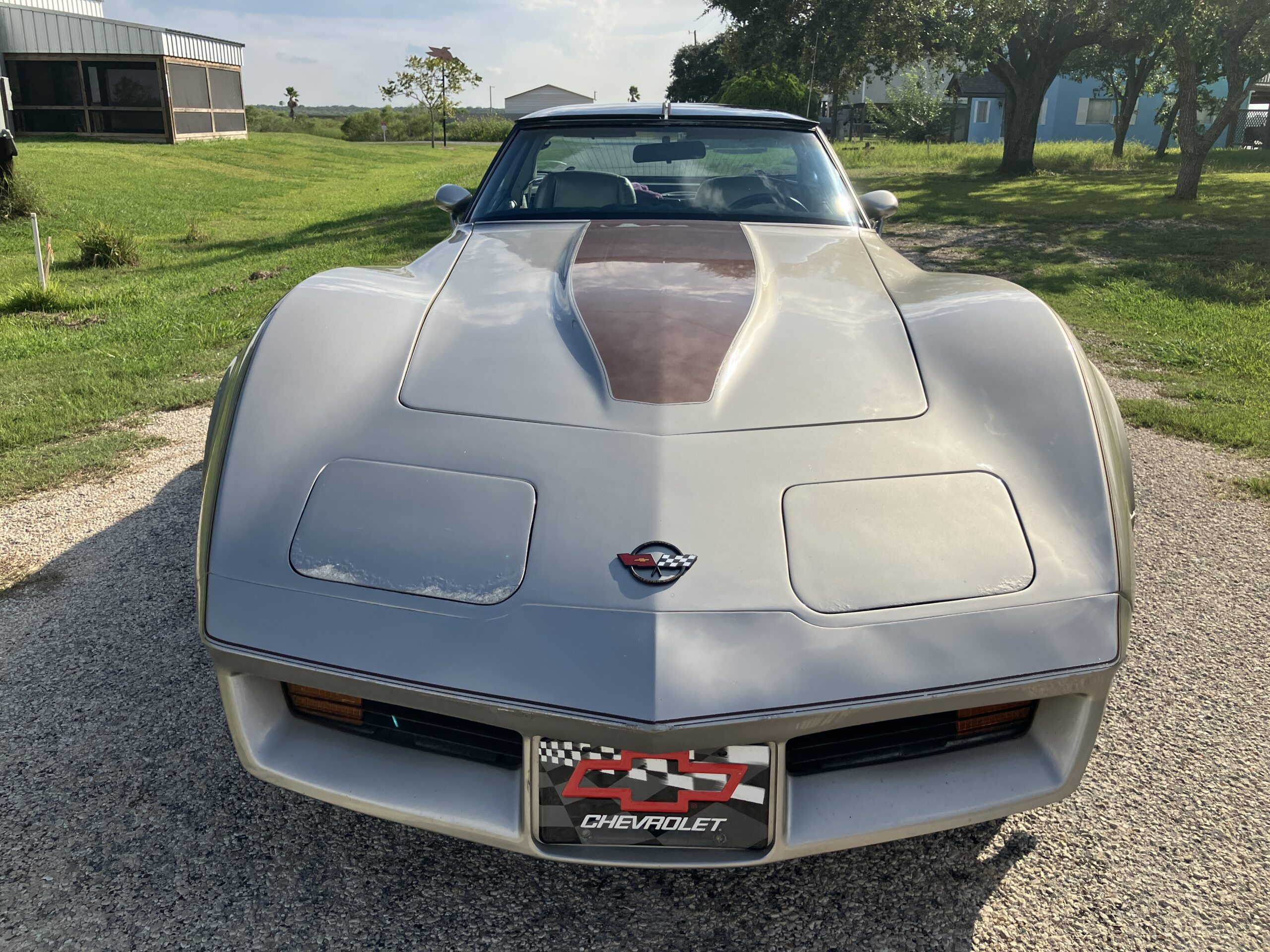 1982 Corvette Collector Edition - Image 4
