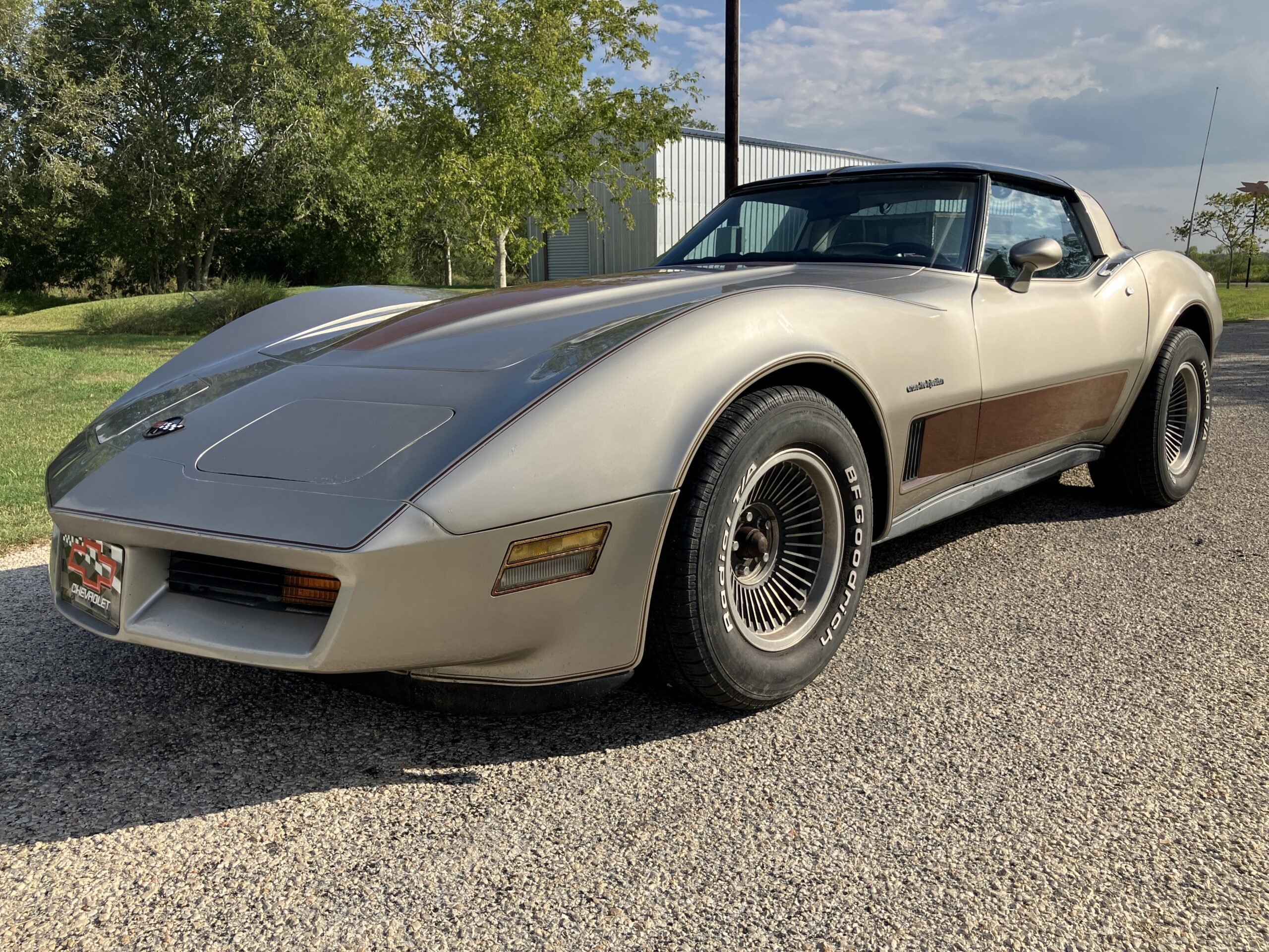1982 Corvette Collector Edition - Image 5