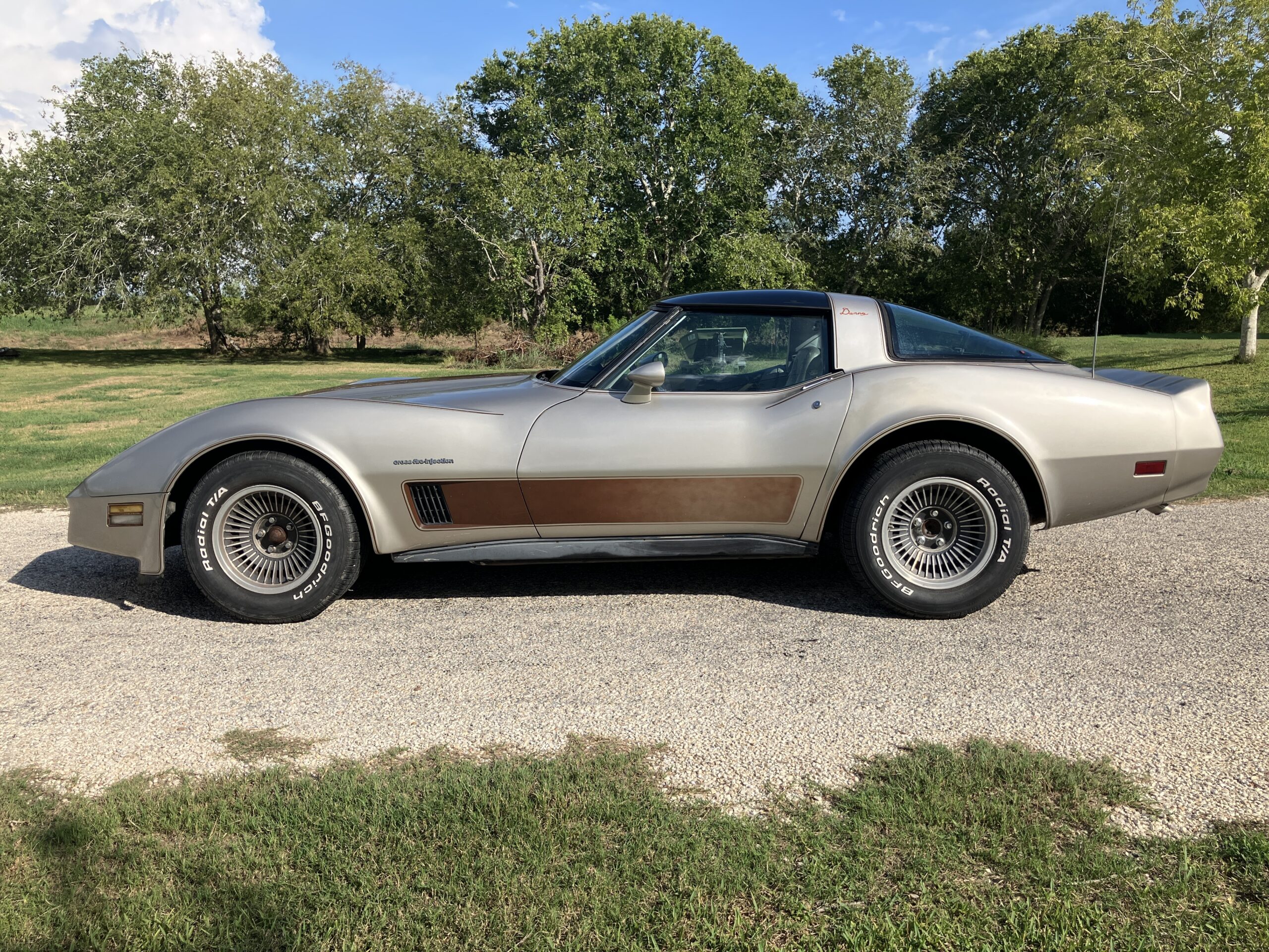 1982 Corvette Collector Edition - Image 6